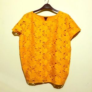 Ann Taylor top
